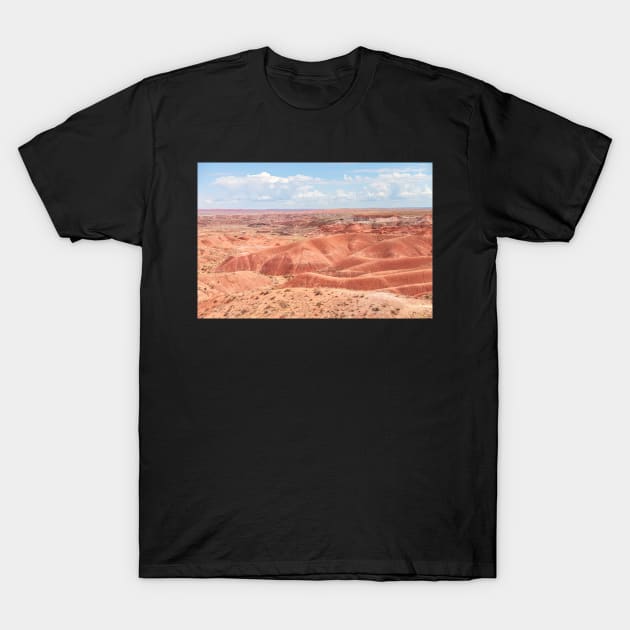 Painted Desert T-Shirt by jvnimages
